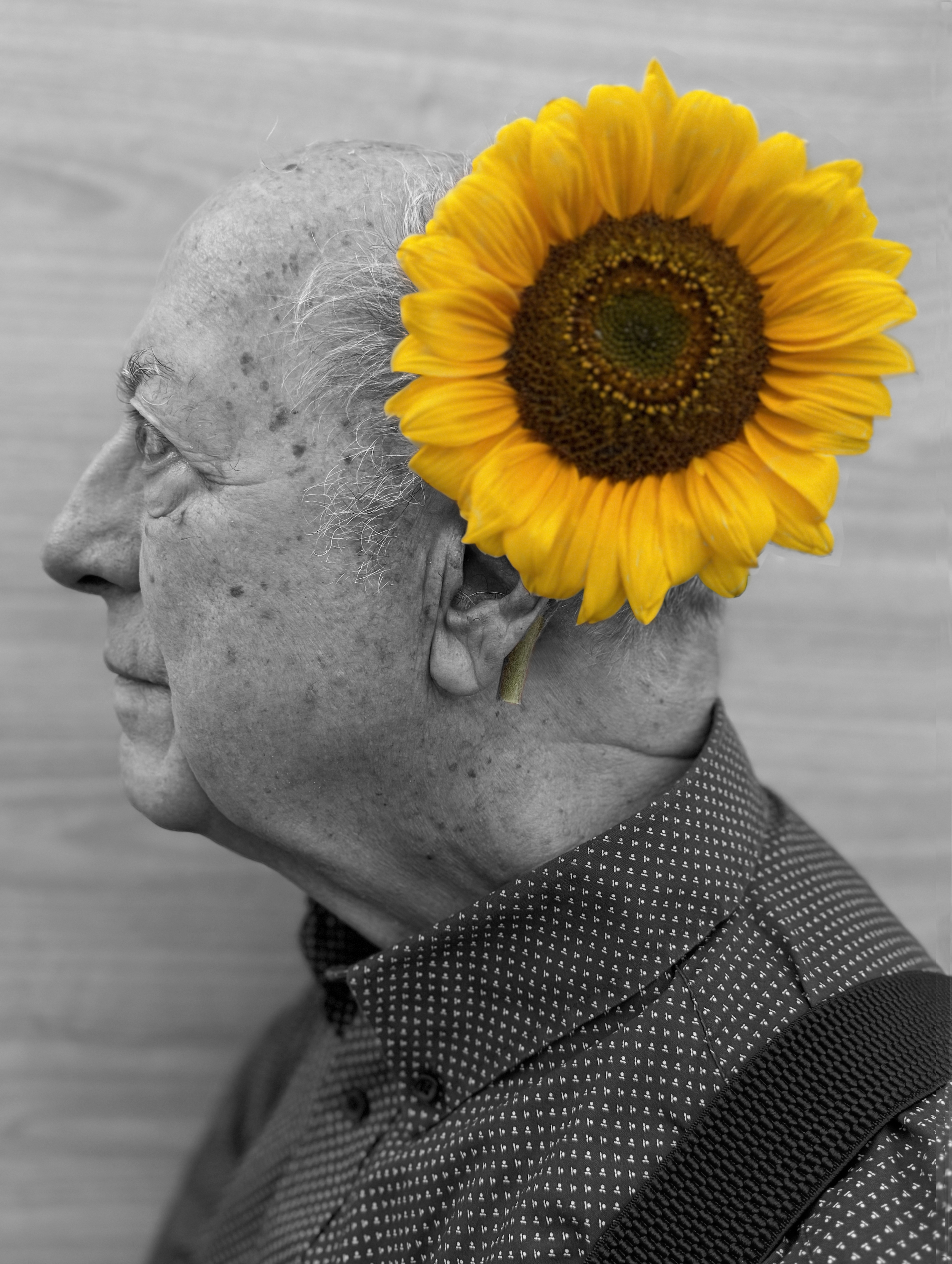 Aldo Bonzi