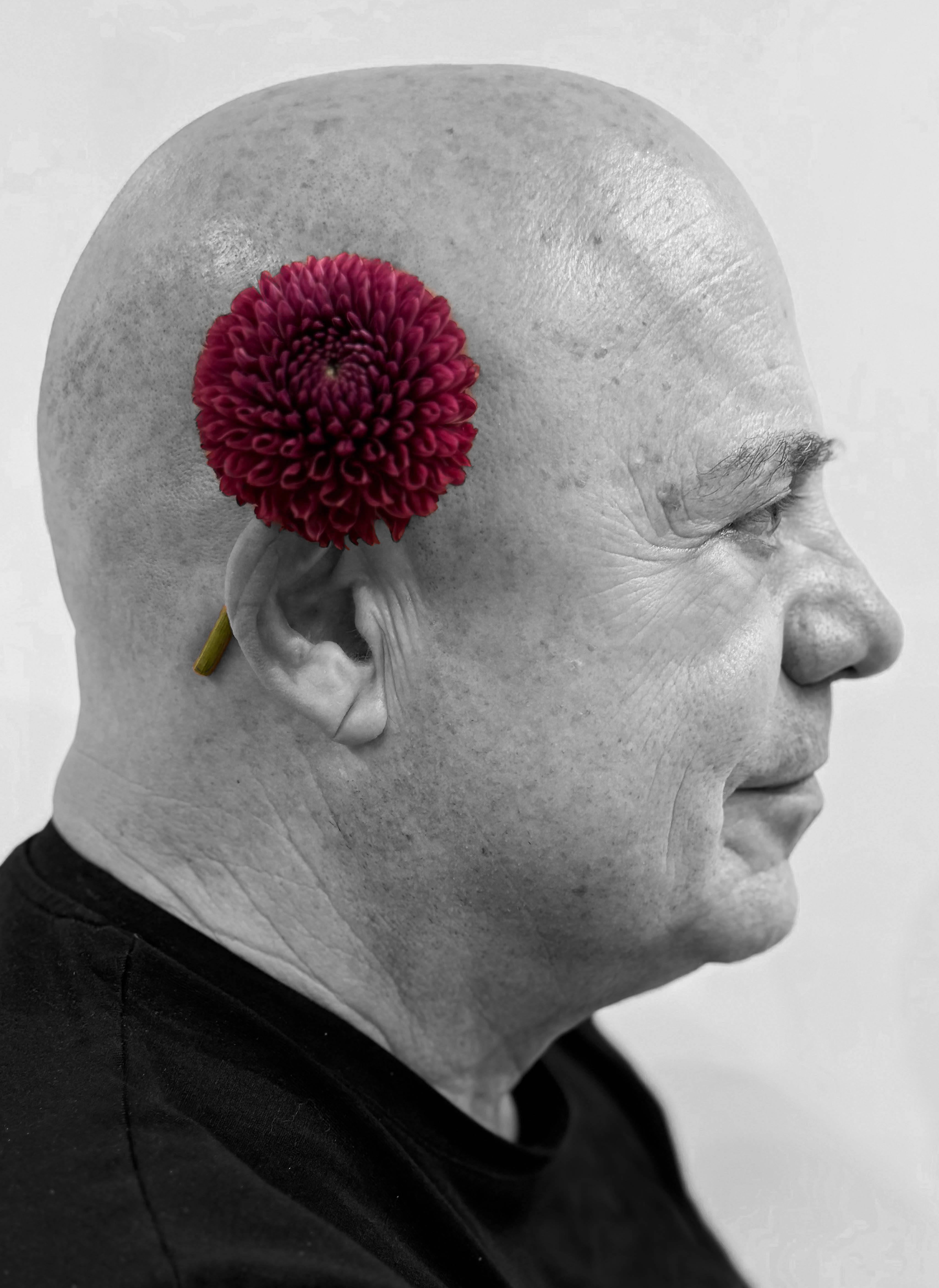 Giacomo Cosentino