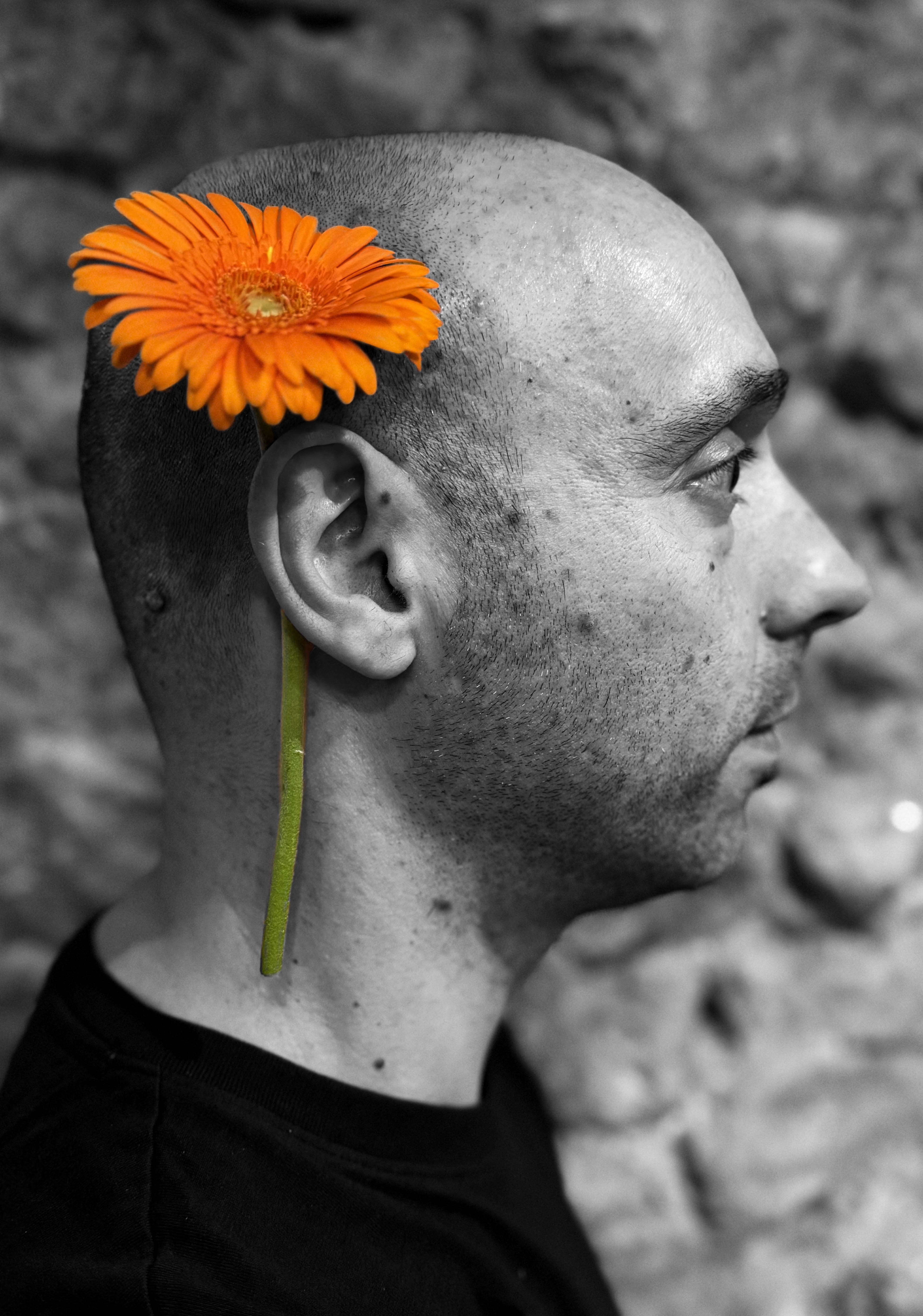 Daniele Toti