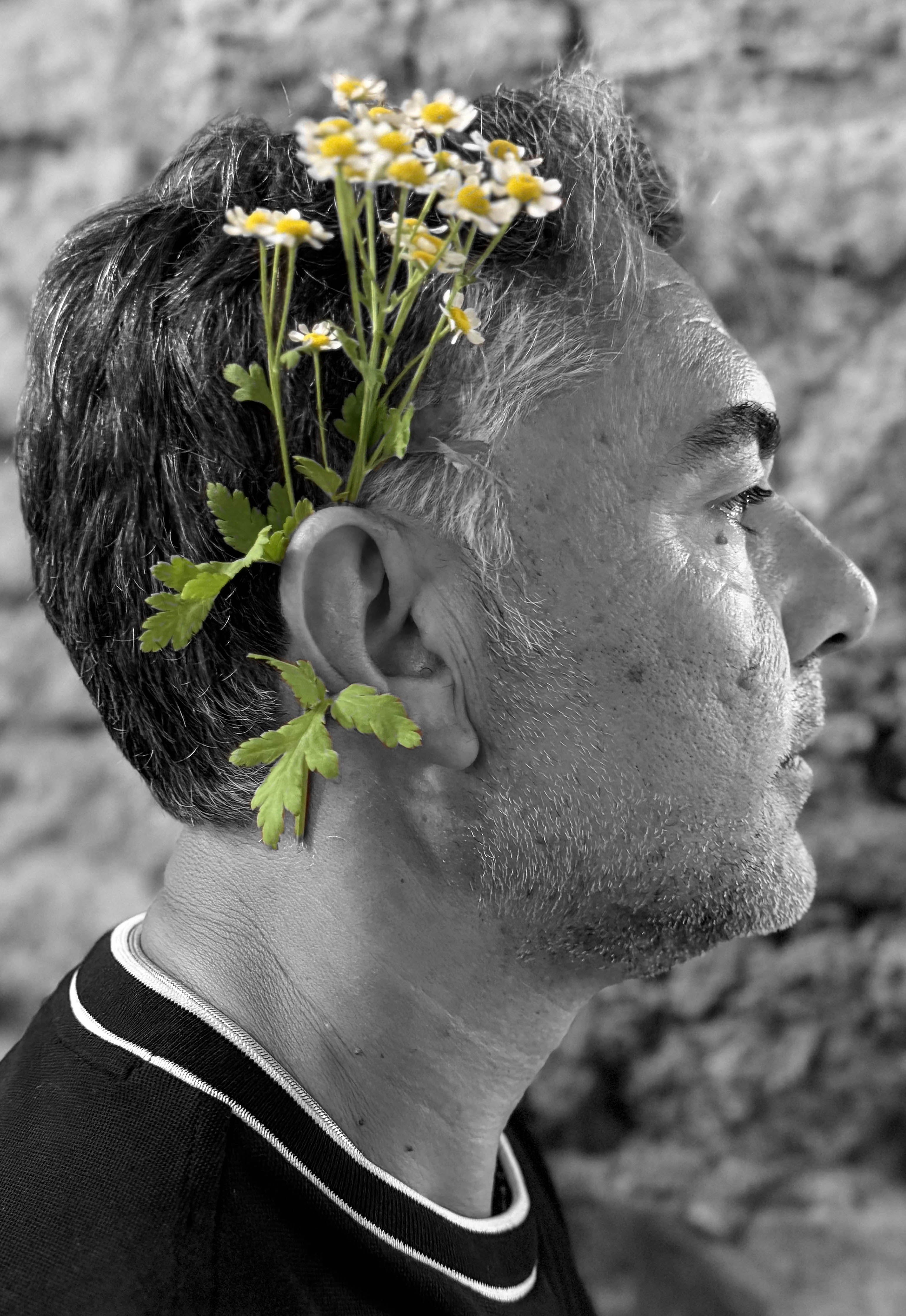 Davide Bellucci
