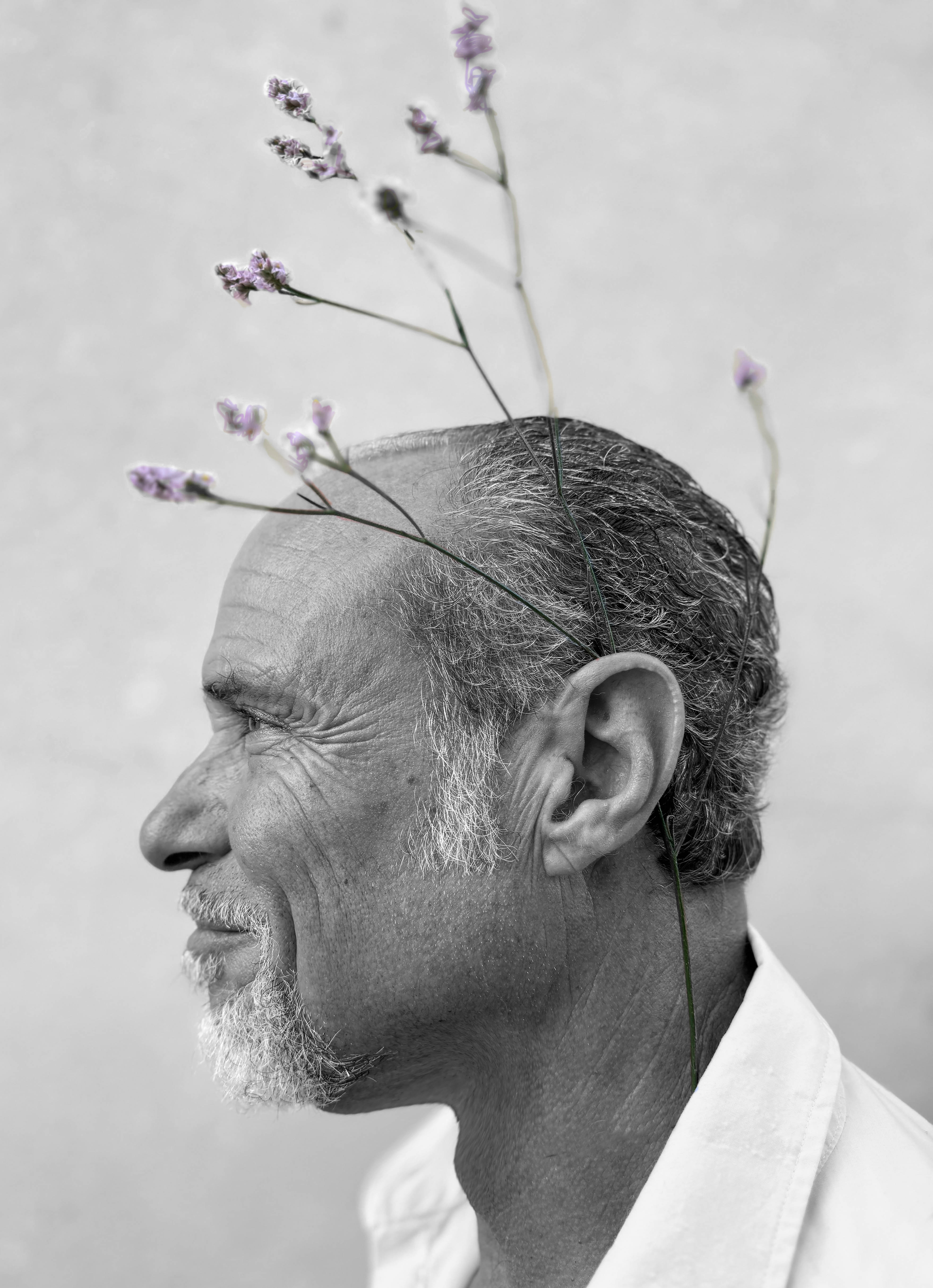 Stefano Dolfi