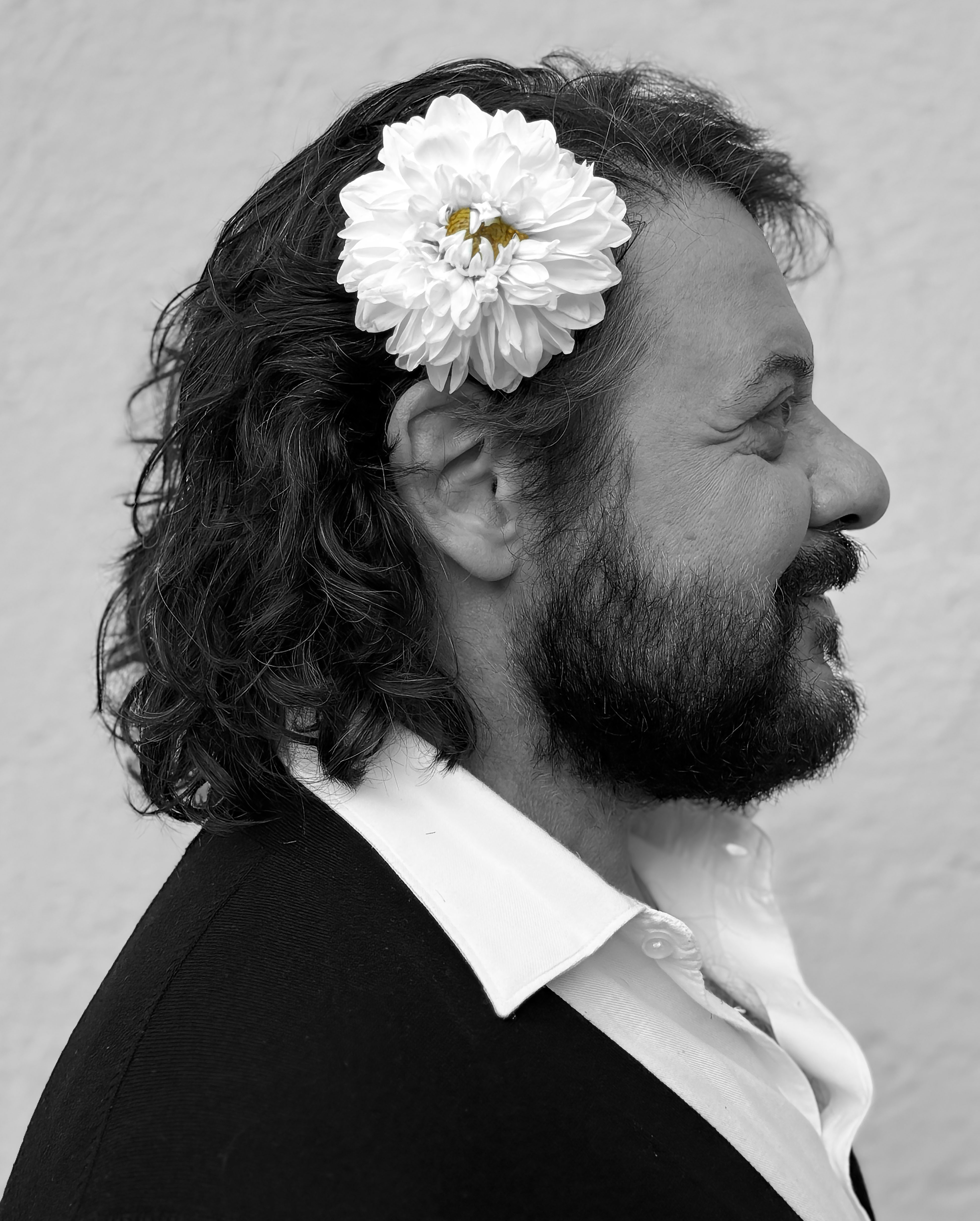 Lillo